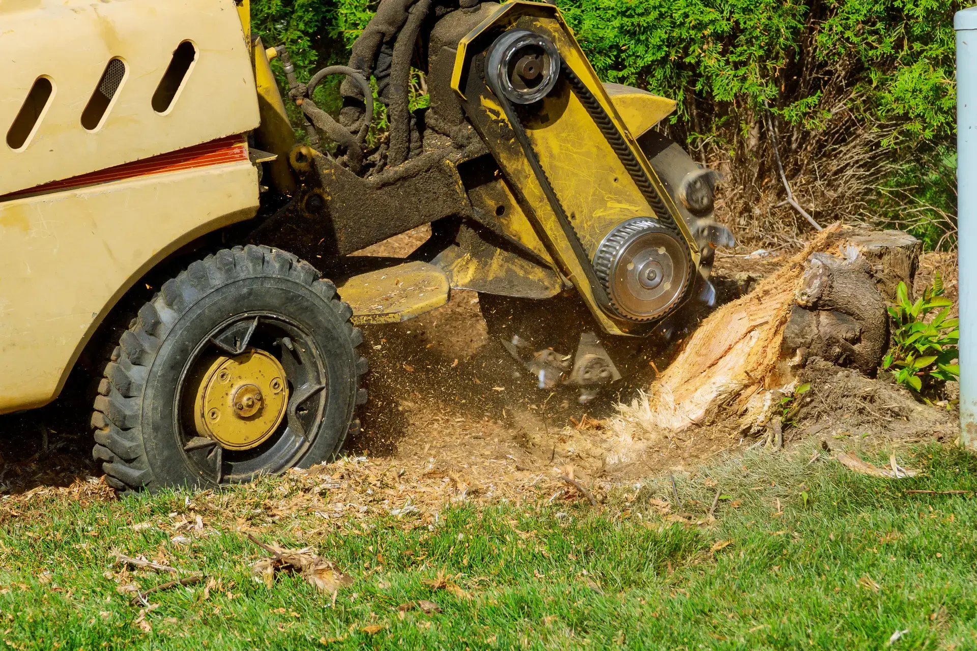Stump grinding machine removing a tree stump in New Jersey