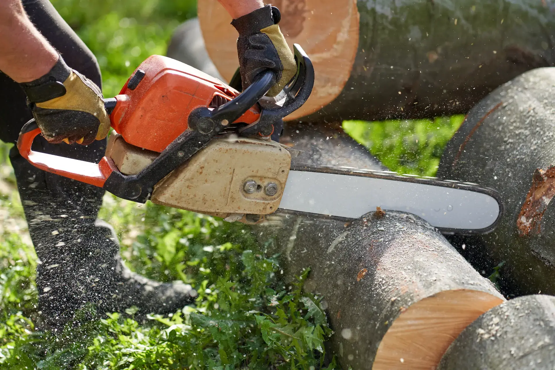 Tree removal in progress at a residential property in New Jersey